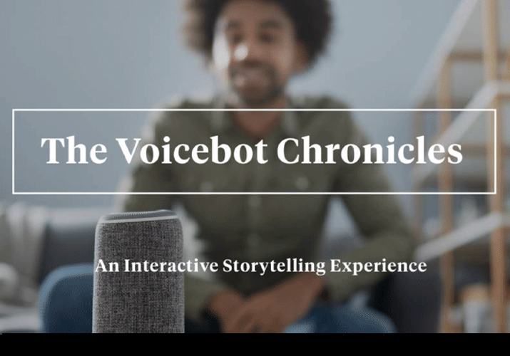 Voicebot Chronicles