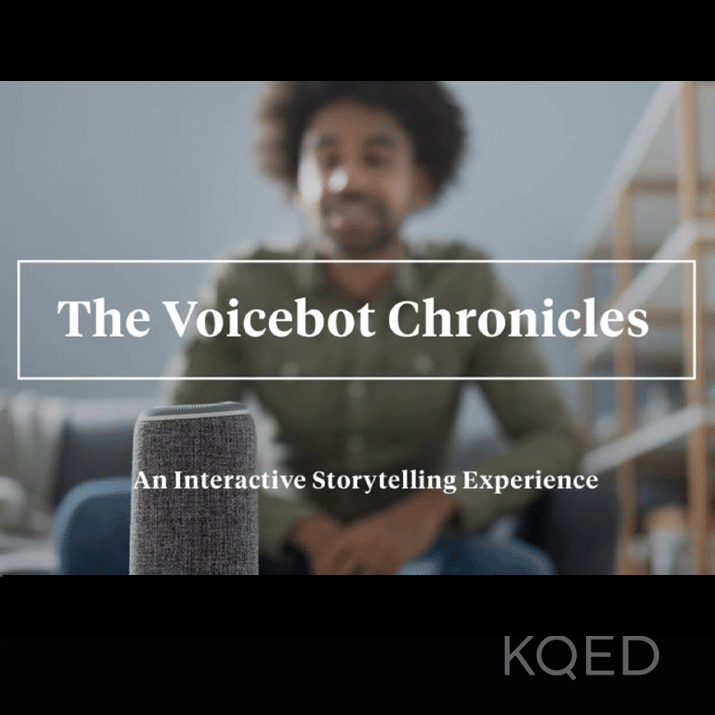 Voicebot Chronicles